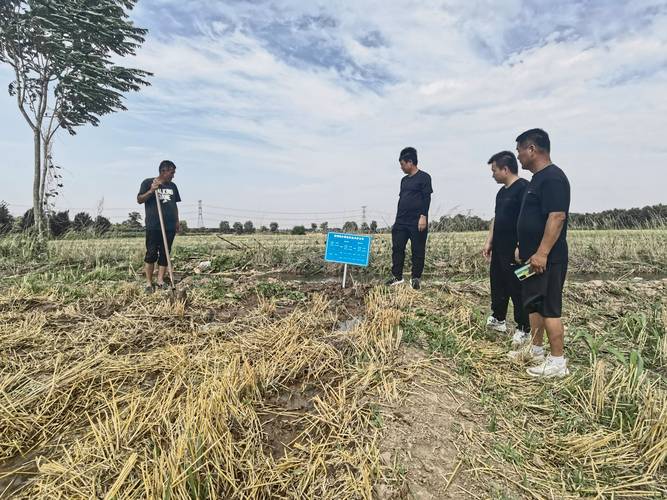 浇地水价每小时180,浇地水价每小时180元贵吗