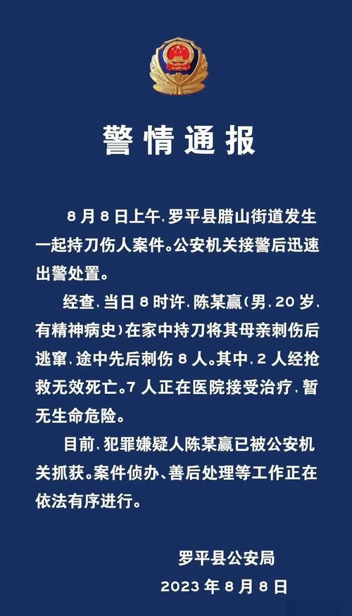 下班高峰持刀伤17人,上班高峰期男子持刀伤人