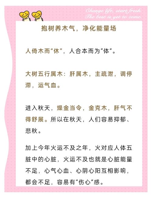 每月花780抱树放松,
