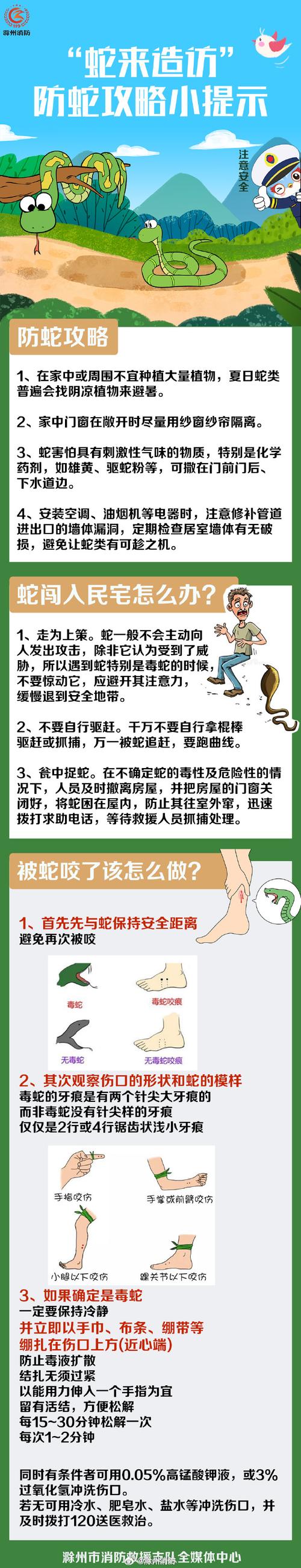 被蛇咬两年仍后遗症,被蛇咬了几年后身体有毒素吗