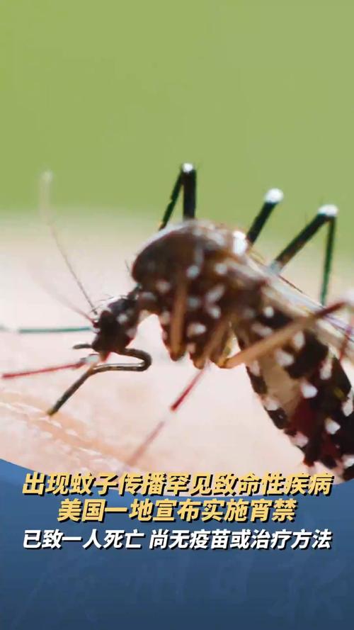 美国又一地实施宵禁,美国又一地实施宵禁的原因
